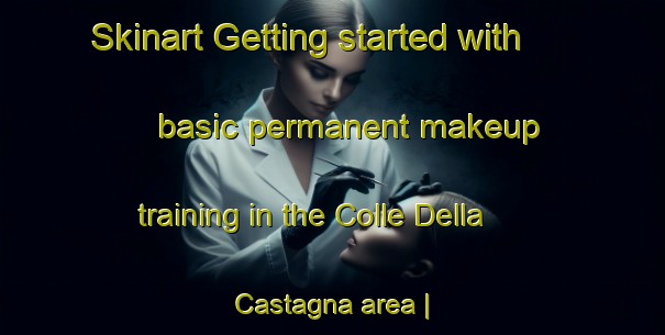 Skinart Getting started with basic permanent makeup training in the Colle Della Castagna area | PermanentmakeupTraining | PermanentmakeupClasses | SkinartTraining-Italy
